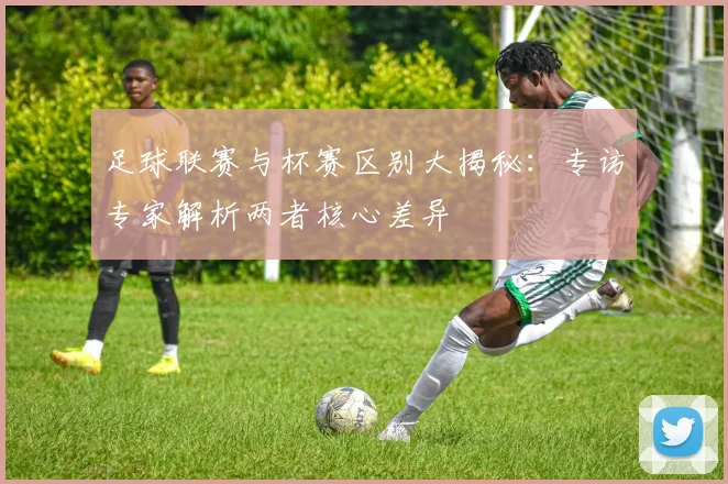 足球联赛与杯赛区别大揭秘：专访专家解析两者核心差异